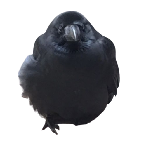 yum.. where did your delicous bowling ball go? urmph,no clue, go search elsewhere for your scrumptious bowling ball!